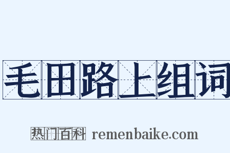 毛田路上组词是什么意思的图片